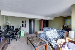 Photo 26: 12 Hawkville Place NW in Calgary: Hawkwood Detached for sale : MLS®# A1173532