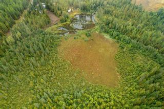 Photo 29: 3107 Trinity Valley Road, in Enderby: Vacant Land for sale : MLS®# 10264864