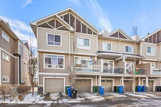 Main Photo: 46 Skyview Ranch Gardens NE in Calgary: Skyview Ranch Row/Townhouse for sale : MLS®# A2095254