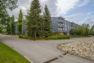 Photo 26: 308 816 89 Avenue SW in Calgary: Haysboro Apartment for sale : MLS®# A1228379