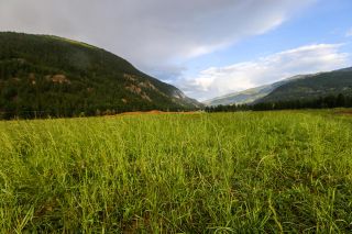 Photo 5: 2721 Agate Bay Road in Louis Creek: BARRIERE Agriculture for sale (NE)  : MLS®# 167082