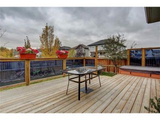 Photo 40: 43 BRIGHTONSTONE Grove SE in Calgary: New Brighton House for sale : MLS®# C4085071