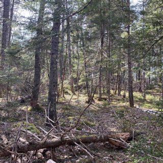 Photo 18: Lot 8 Old Trunk Highway 3 in Hebbs Cross: 405-Lunenburg County Vacant Land for sale (South Shore)  : MLS®# 202312885