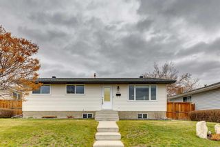 Main Photo: 4208 Maryvale Drive NE in Calgary: Marlborough Detached for sale : MLS®# A2125786