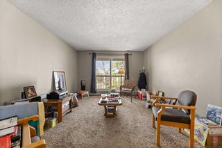 Photo 10: 224 6108 53 Street: Olds Apartment for sale : MLS®# A2127287