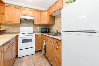 Photo 7: 102 436 SEVENTH Street in New Westminster: Uptown NW Condo for sale : MLS®# R2216650