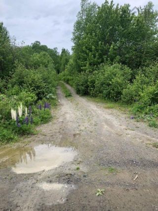 Photo 4: Lot Morganville Road in Bear River: Annapolis County Vacant Land for sale (Annapolis Valley)  : MLS®# 202213446