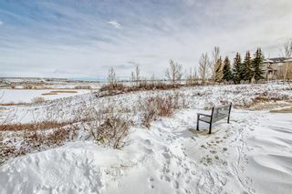 Photo 40: 133 Kincora Bay NW in Calgary: Kincora Detached for sale : MLS®# A1254445