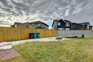 Photo 5: 86 Redstone Mews NE in Calgary: Redstone Semi Detached (Half Duplex) for sale : MLS®# A2029337