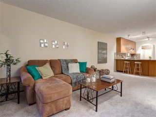Photo 12: 224 35 RICHARD Court SW in Calgary: Lincoln Park Condo for sale : MLS®# C4021512