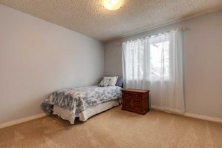 Photo 34: 108 Pump Hill Gardens SW in Calgary: Pump Hill Detached for sale : MLS®# A2090458