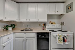 Photo 11: 2103 315 Southampton Drive SW in Calgary: Southwood Apartment for sale : MLS®# A2045645