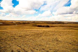 Photo 12: On Range Road 244: Rural Red Deer County Residential Land for sale : MLS®# A2034530
