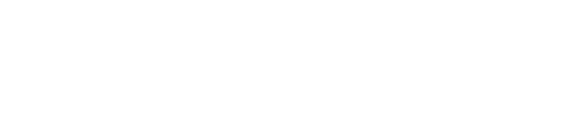Peter Zoltowski Logo