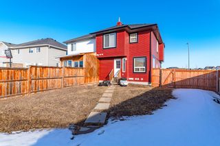 Photo 27: 128 Saddlebrook Common NE in Calgary: Saddle Ridge Semi Detached (Half Duplex) for sale : MLS®# A2036630