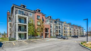 Photo 17: 4209 99 Copperstone Park SE in Calgary: Copperfield Apartment for sale : MLS®# A1218349