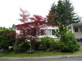 Photo 1: 52 7850 KING GEORGE Boulevard in Surrey: East Newton Manufactured Home for sale in "Bear Creek Glen" : MLS®# R2395015
