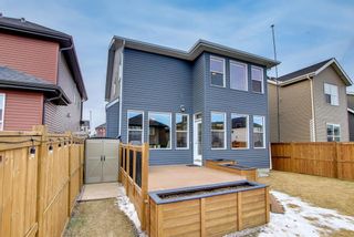 Photo 50: 32 Evansglen Drive NW in Calgary: Evanston Detached for sale : MLS®# A1178289