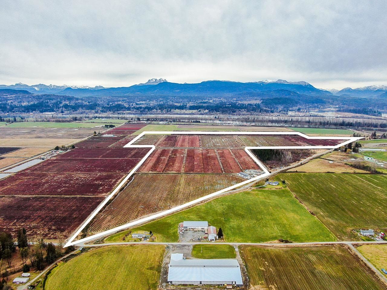 Main Photo: 8201 DYKE Road in Abbotsford: Bradner Agri-Business for sale : MLS®# C8051831