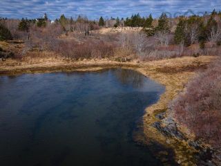Photo 11: 70 Stonehurst Road in Blue Rocks: 405-Lunenburg County Vacant Land for sale (South Shore)  : MLS®# 202205228