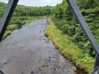 Photo 3: Churchville Road in Churchville: 108-Rural Pictou County Vacant Land for sale (Northern Region)  : MLS®# 202221062