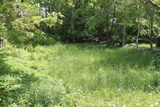 Main Photo: 14 Albert Street in Dartmouth: 12-Southdale, Manor Park Vacant Land for sale (Halifax-Dartmouth)  : MLS®# 202412169