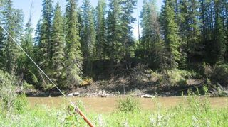 Photo 12: 14 James River Crossing: Rural Clearwater County Residential Land for sale : MLS®# A1224150