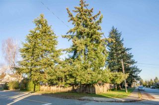Photo 11: 1340 SUTHERLAND Avenue in North Vancouver: Boulevard House for sale : MLS®# R2332782