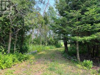 Photo 22: Part 2 Nelson DR in St. Joseph Island: Vacant Land for sale : MLS®# SM240114