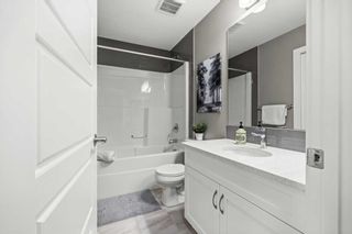 Photo 15: 22 Evanscrest Heights NW in Calgary: Evanston Detached for sale : MLS®# A2075282