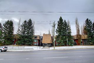 Photo 27: 306 315 50 Avenue SW in Calgary: Windsor Park Apartment for sale : MLS®# A1181961