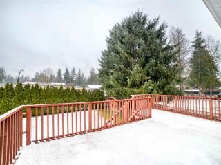 Photo 5: 20073 42 Avenue in Langley: Brookswood Langley House for sale : MLS®# R2538938