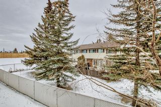 Photo 21: 246 165 Manora Place NE in Calgary: Marlborough Park Apartment for sale : MLS®# A2021263