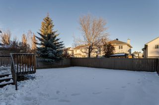 Photo 48: 129 Chaparral Way SE in Calgary: Chaparral Detached for sale : MLS®# A2013478