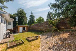 Photo 19: 2882 NORMAN AVENUE in Coquitlam: Ranch Park House for sale : MLS®# R2295567