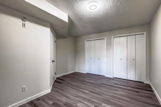 Photo 18: 208 1000 Citadel Meadow Point NW in Calgary: Citadel Apartment for sale : MLS®# A2050408