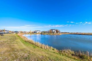 Photo 46: 28 Havenfield Drive: Carstairs Detached for sale : MLS®# A2088792