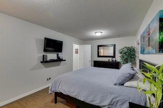 Photo 19: 125 Bridleglen Manor in Calgary: Bridlewood Detached for sale : MLS®# A1177725