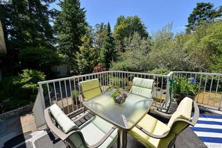 Photo 21: 3734 Epsom Dr in VICTORIA: SE Cedar Hill House for sale (Saanich East)  : MLS®# 817100