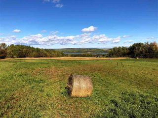 Photo 3: LOT 8 GOLF COURSE Road in Charlie Lake: Lakeshore Land for sale (Fort St. John)  : MLS®# R2828702