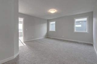 Photo 26: 228 Red Sky Terrace NE in Calgary: Redstone Detached for sale : MLS®# A1064865