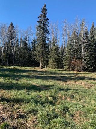 Photo 32: 231057 Rge Rd 54: Bragg Creek Residential Land for sale : MLS®# A1118605
