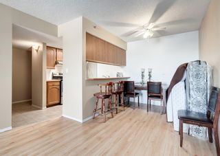 Photo 19: 604 2011 University Drive NW in Calgary: University Heights Apartment for sale : MLS®# A2009979
