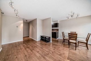 Photo 19: 206 630 57 Avenue SW in Calgary: Windsor Park Apartment for sale : MLS®# A2126401