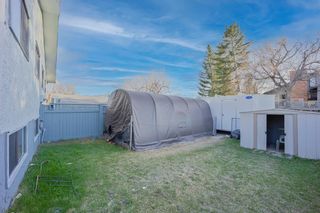 Photo 14: 4803 60 Street NE in Calgary: Temple Semi Detached for sale : MLS®# A1102422