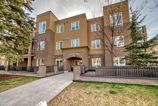 Photo 2: 308 518 33 Street NW in Calgary: Parkdale Apartment for sale : MLS®# A2121555