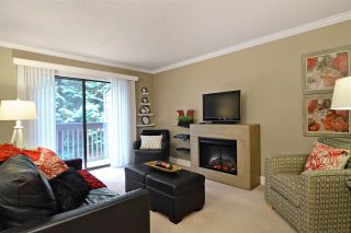 Photo 1: 178 CORNELL Way in Port Moody: College Park PM Townhouse for sale : MLS®# R2114323