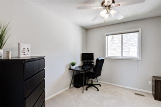 Photo 28: 254 Elgin Manor SE in Calgary: McKenzie Towne Detached for sale : MLS®# A1233785