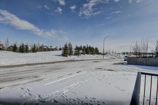 Photo 49: 1209 Coopers Drive SW: Airdrie Detached for sale : MLS®# A2118857