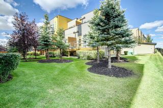 Photo 26: 12993 Coventry Hills Way NE in Calgary: Coventry Hills Row/Townhouse for sale : MLS®# A2002878